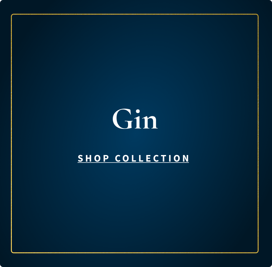 ELP - The Holiday Edit Category Section Gin Image