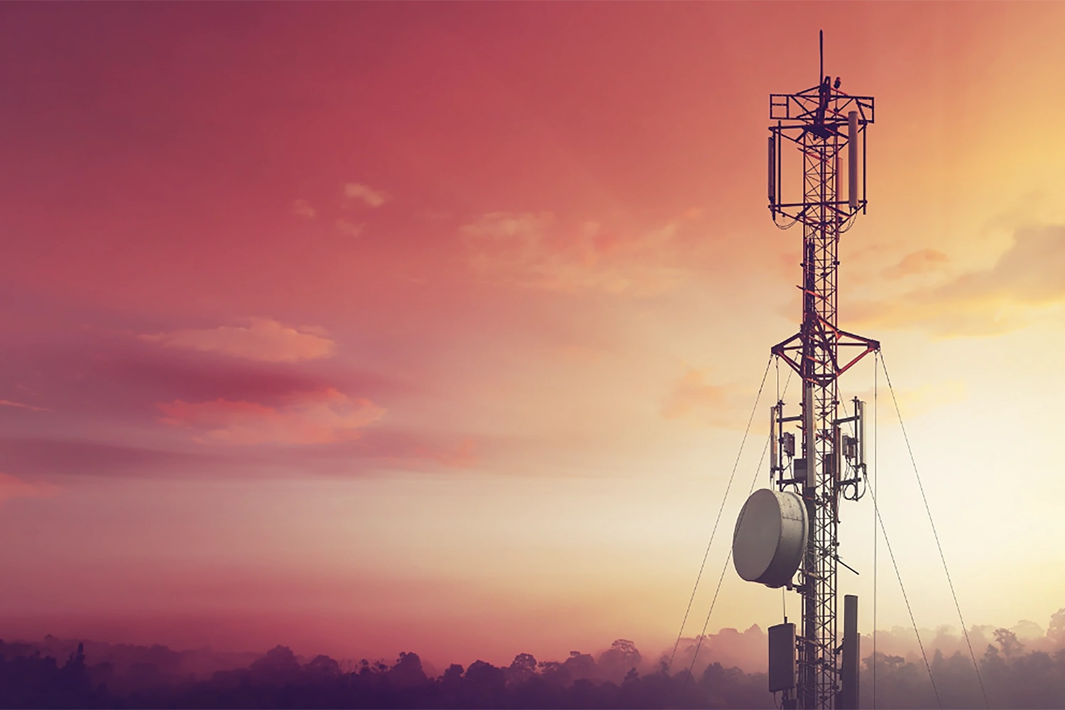 Feature List / Mobility / Monetization