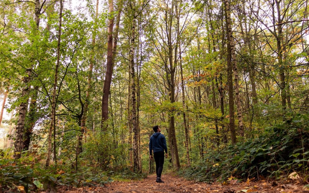 POST / francois-genon-w3vCAbEAx 0-unsplash-1080x675-1