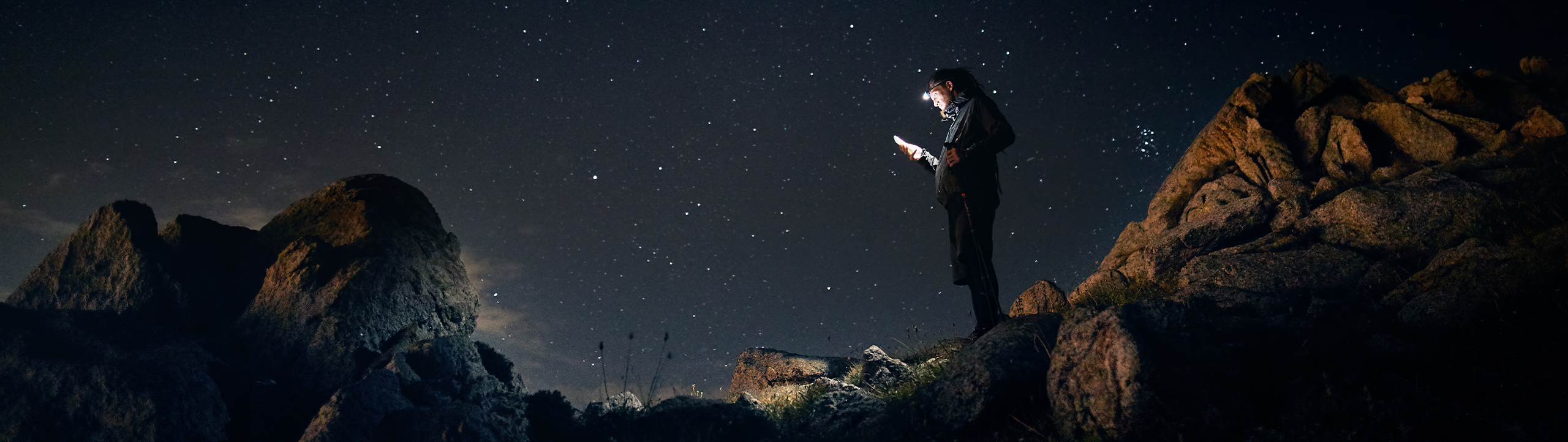 14850 LandingPage SatelliteServicesWP V1