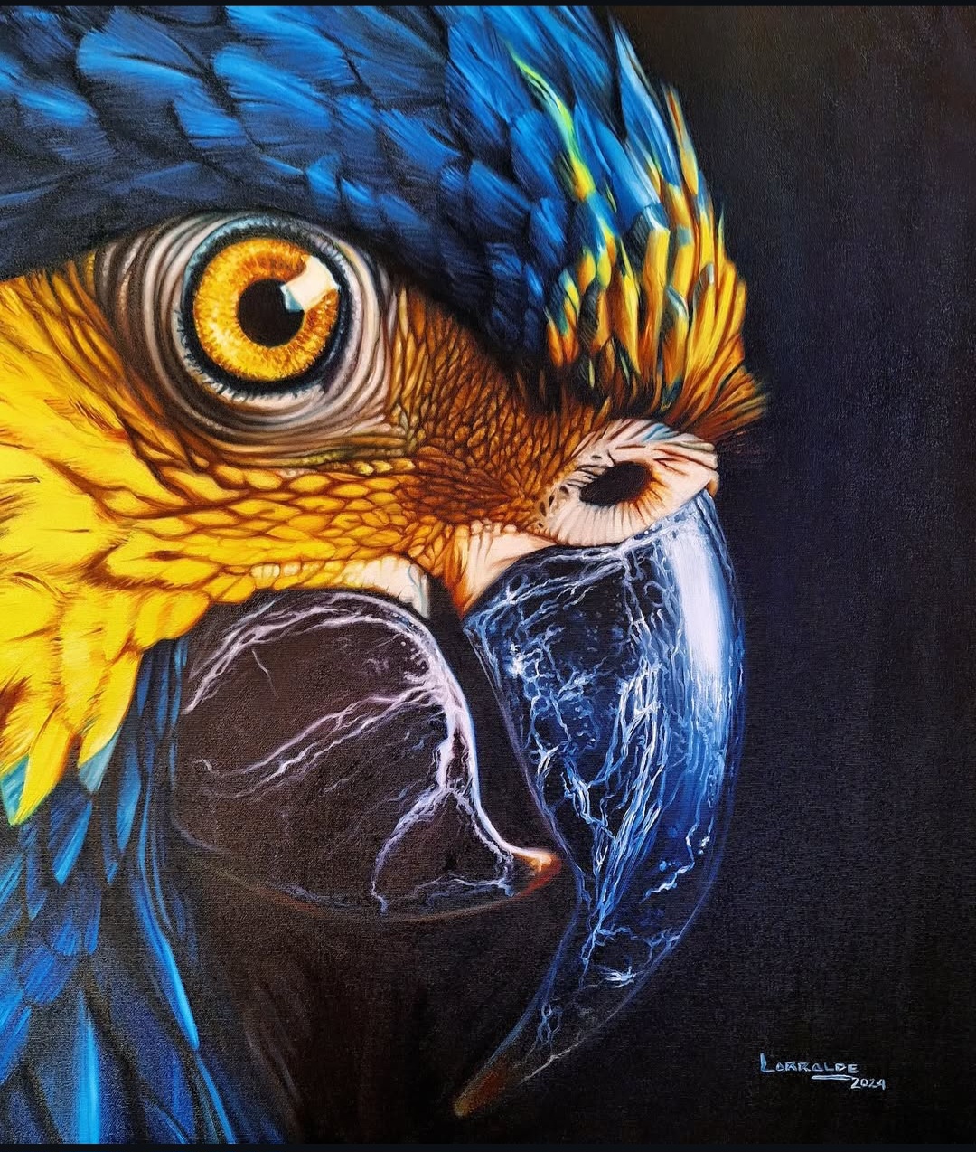 Primer plano de guacamayo azul y amarillo sobre fondo oscuro.