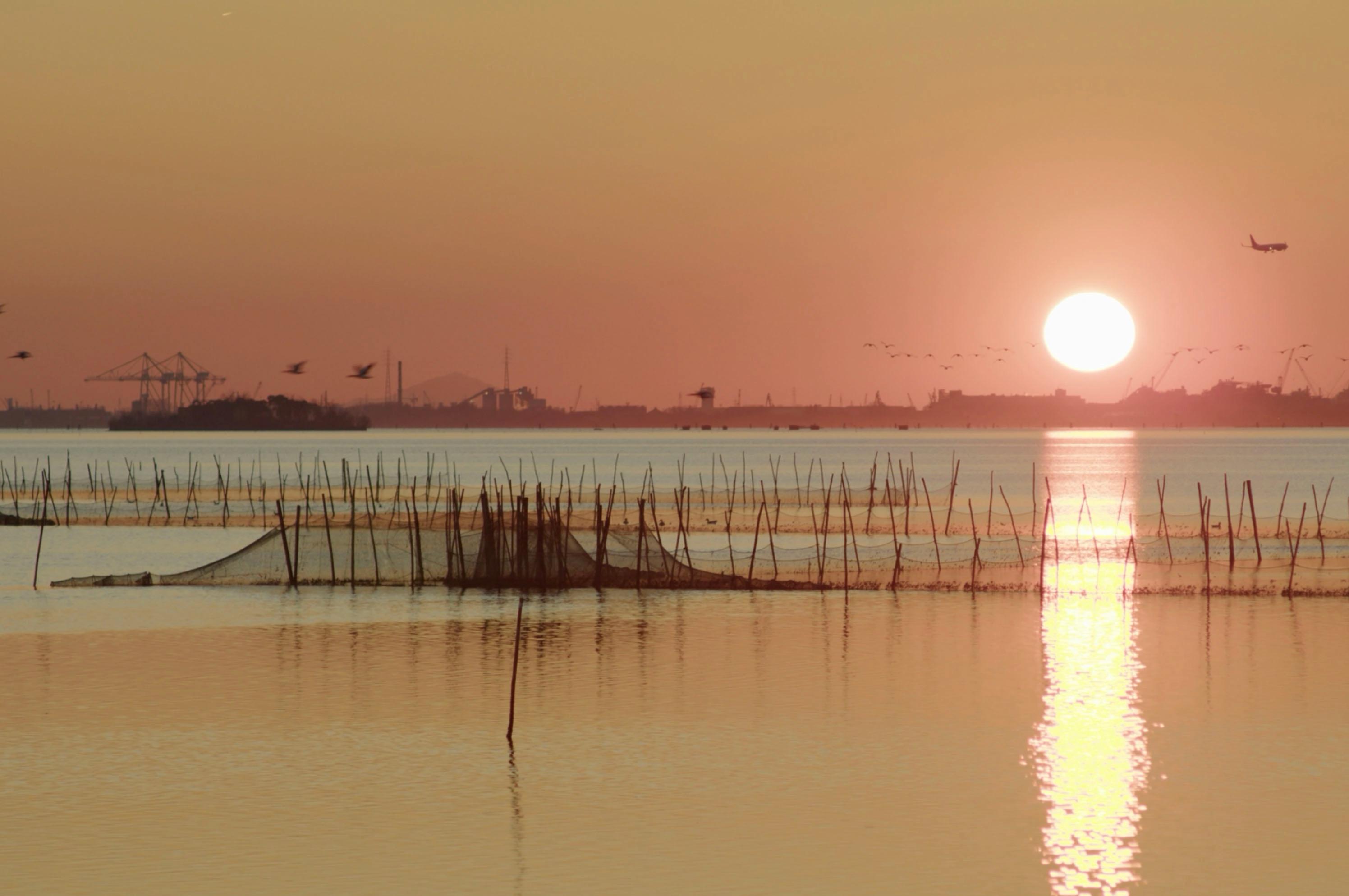 biennale-3