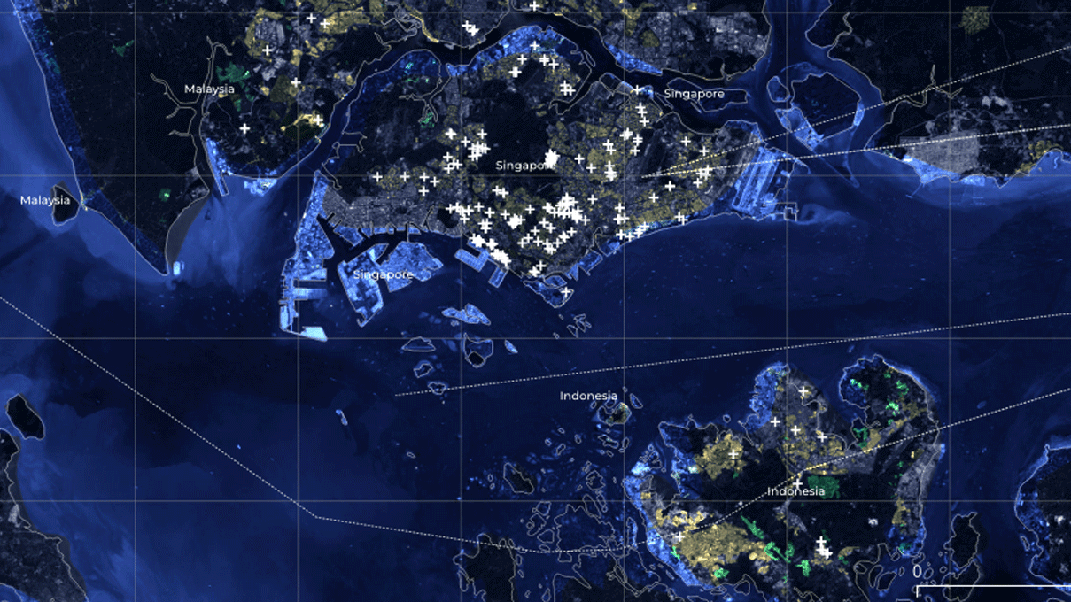 networked-flows-global-piracy