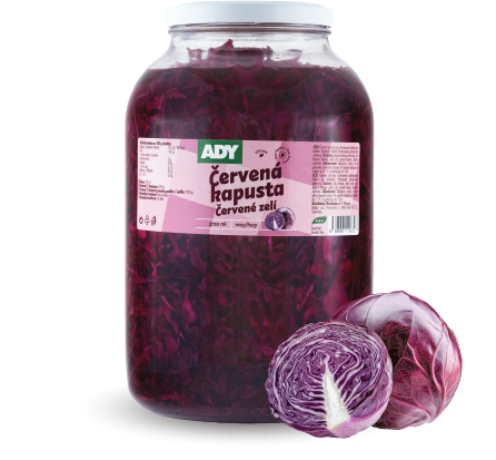 Červená kapusta