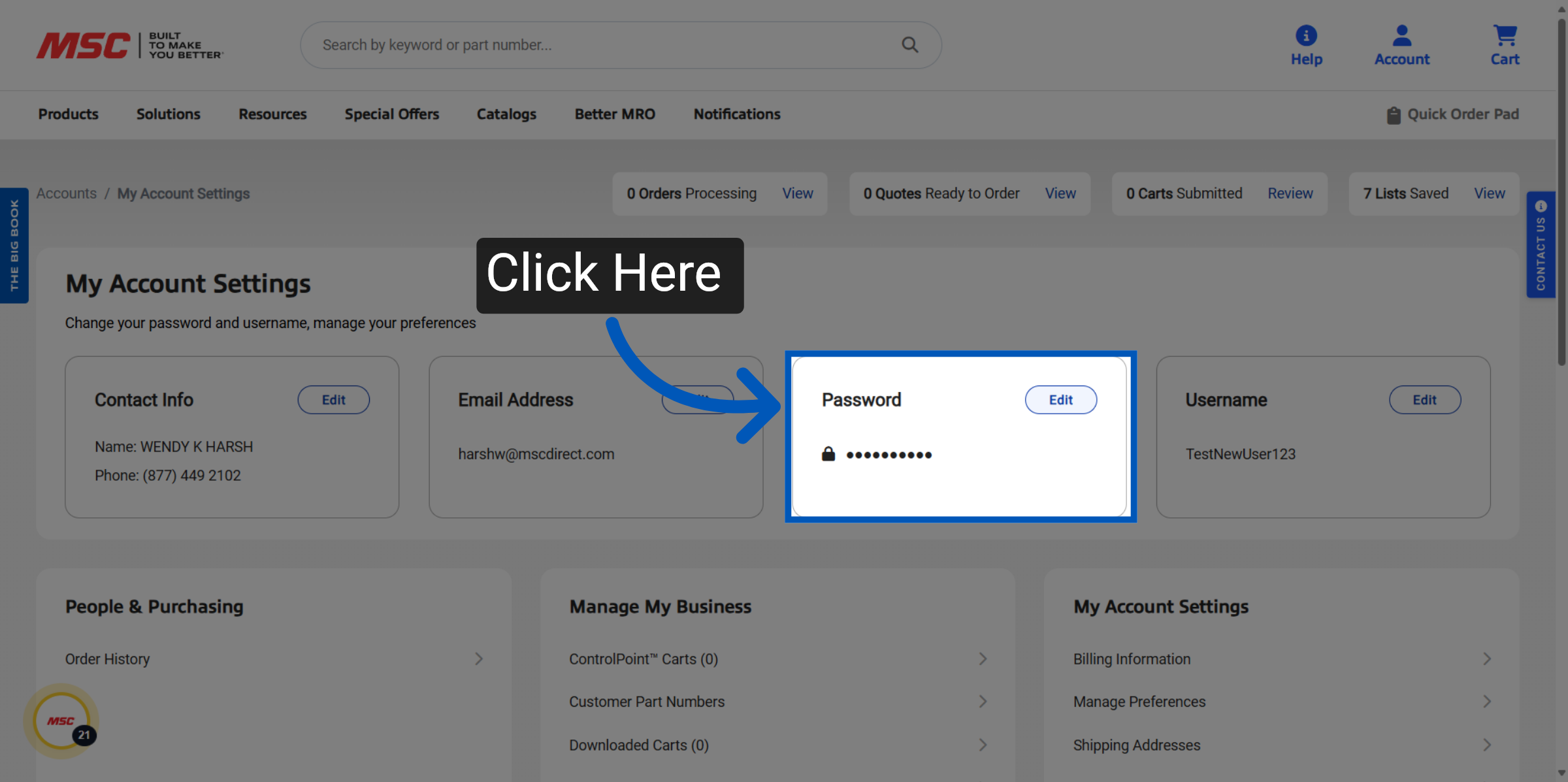 Account settings page with blue arrow pointing to password field highlighted with blue border and edit button