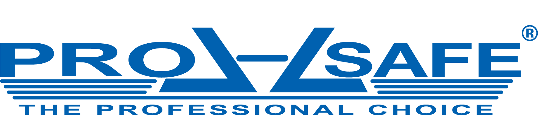 PRO-SAFE Logo