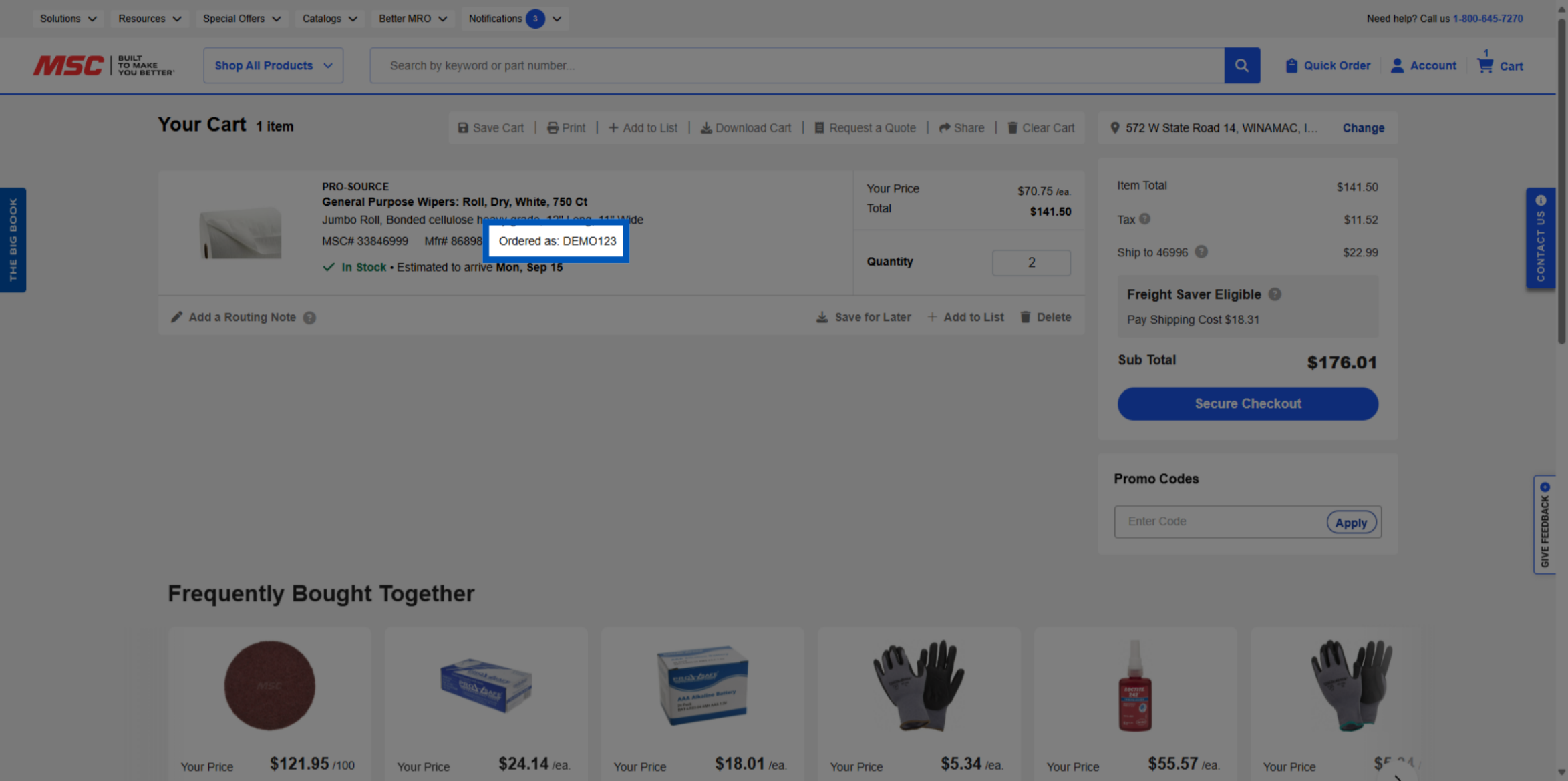 Shopping cart page showing one item with Ordered as DEMO123 highlighted in blue popup box and checkout details.
