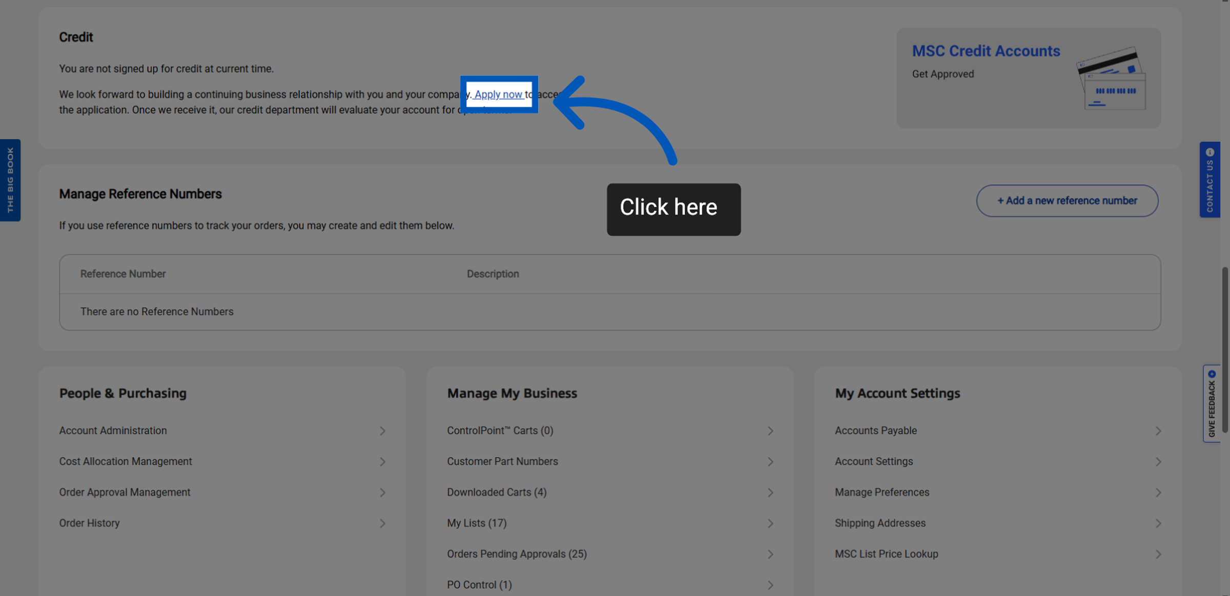 Credit section showing the account is not signed up for credit, with an Apply now link highlighted to start a credit application.