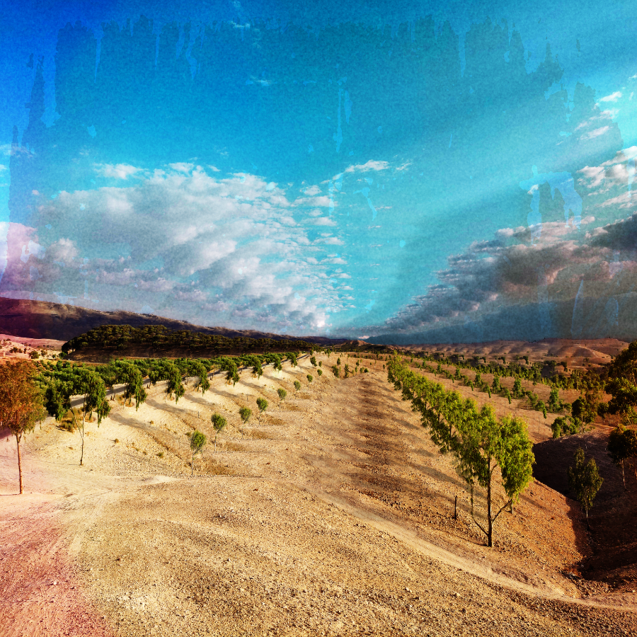 Design titled Innerspeaker Desert