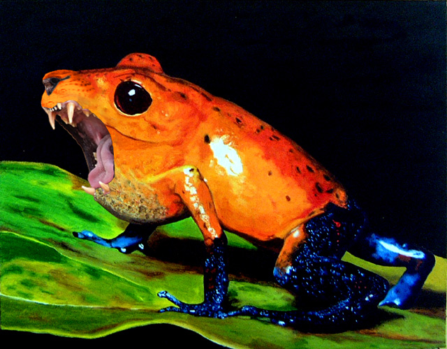 Design titled Dart Frog x Lion