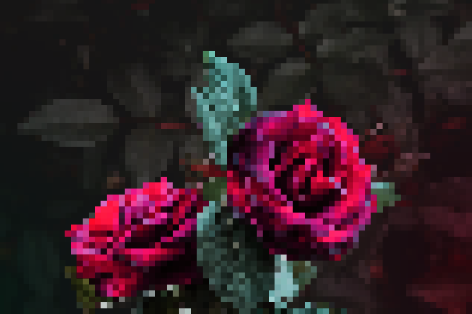 Design titled Pixelated Rose
