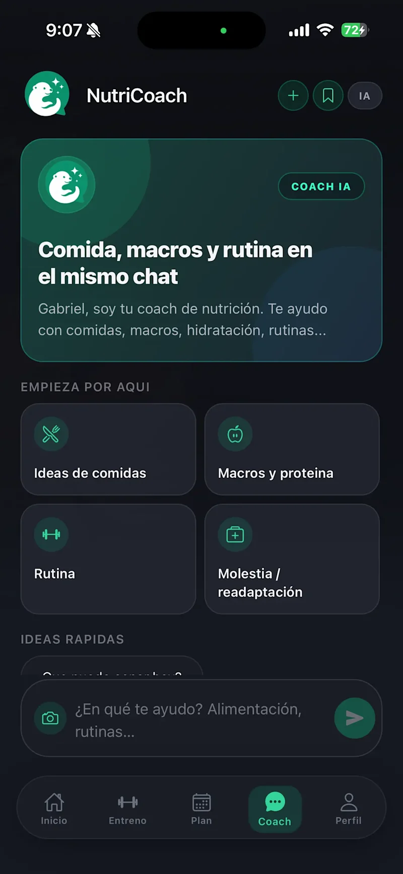proyecto: nutria-07