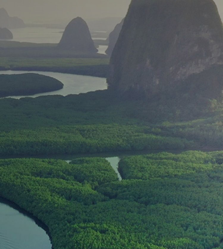 Vertical banner river running through nature and mountains