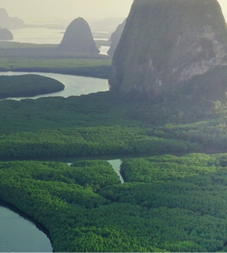 River running through mountains and forests