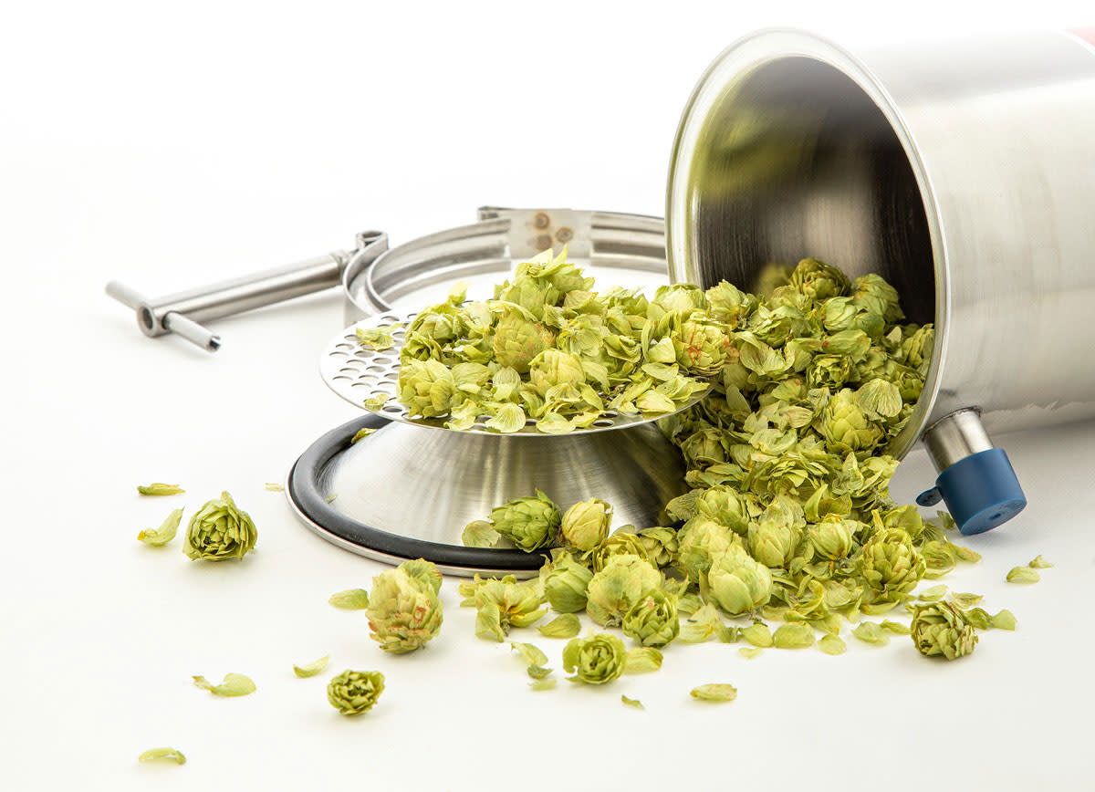 Learning-Lab-More-Ways-to-Get-Hoppy-2