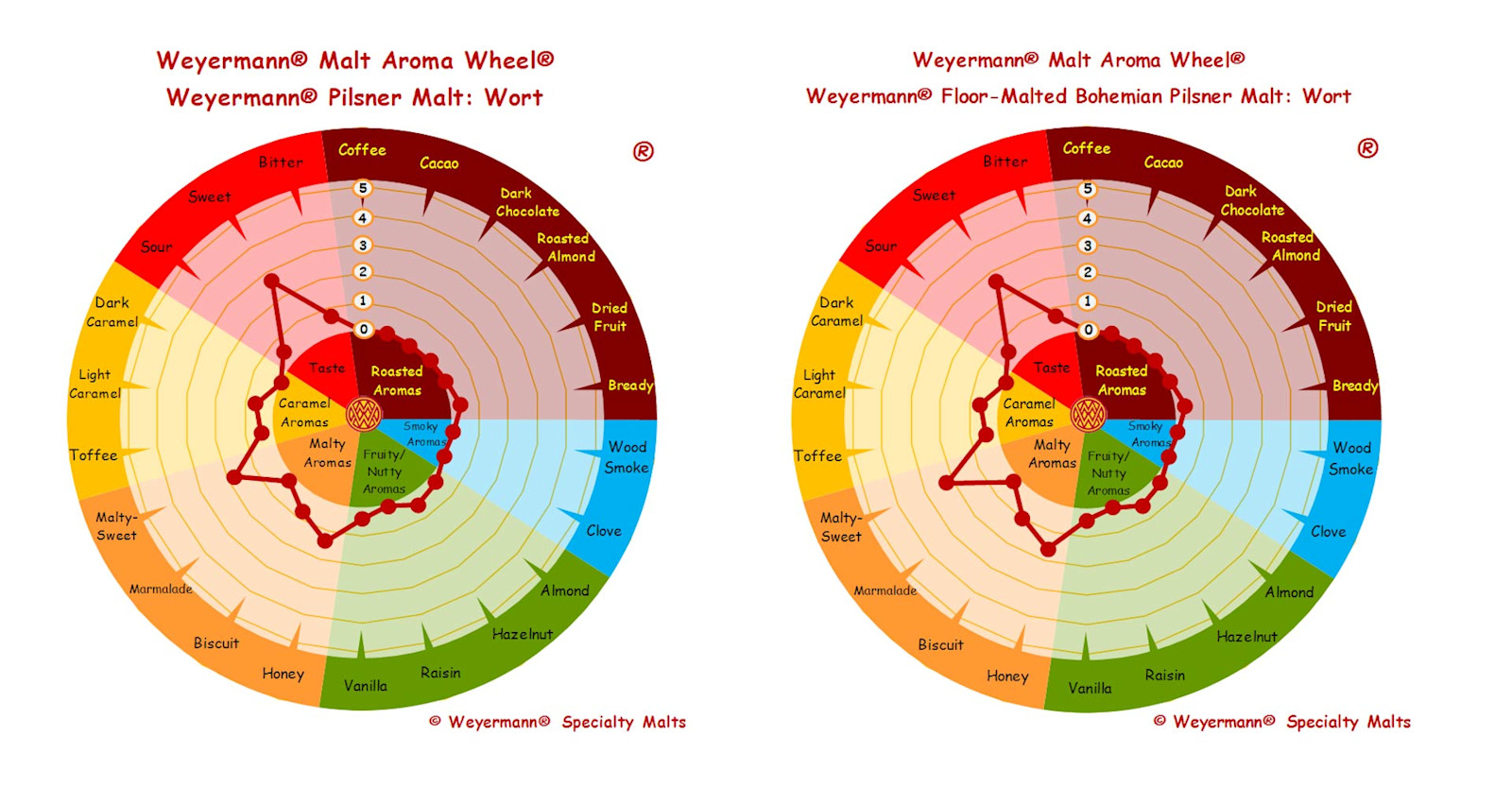 Ingredients Definitely Matter Don T They Craft Beer Brewing