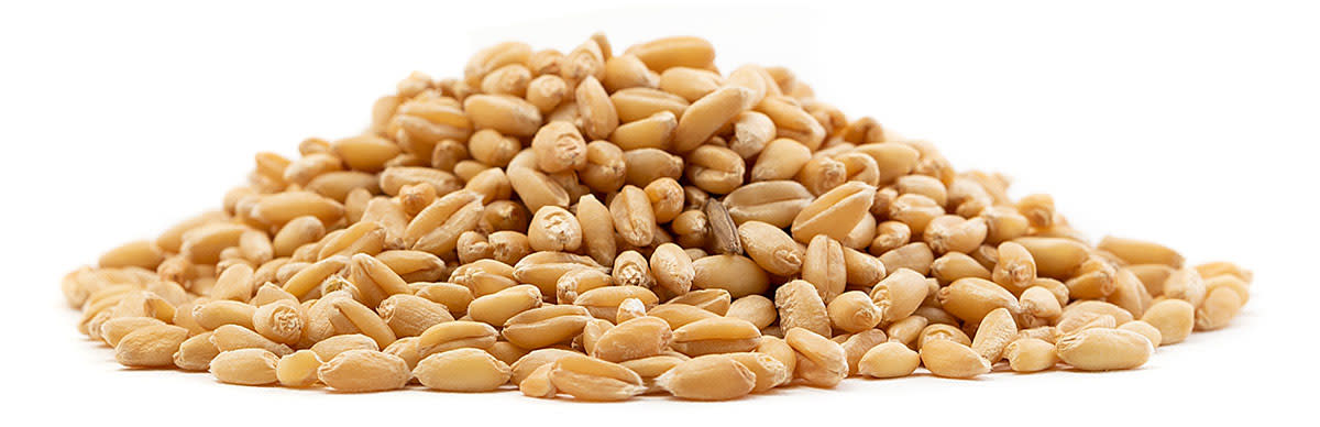 Unmalted-Wheat