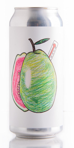 Tampa Bay Brewing GuavaFeber Image