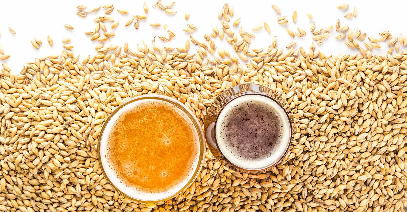 The Secondary Flavors of Malt Craft Beer & Brewing