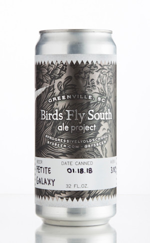 Birds Fly South Petite Galaxy Image