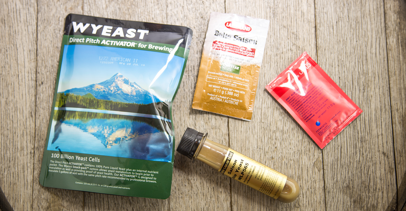 How to Choose a Yeast Strain Craft Beer & Brewing