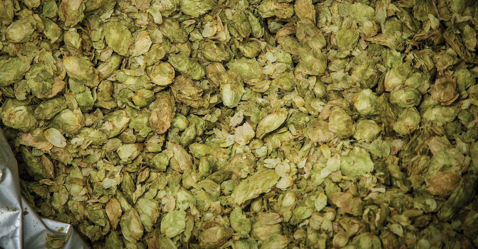 The Best Way to Use Whirlpool Hops in Homebrew Craft Beer & Brewing