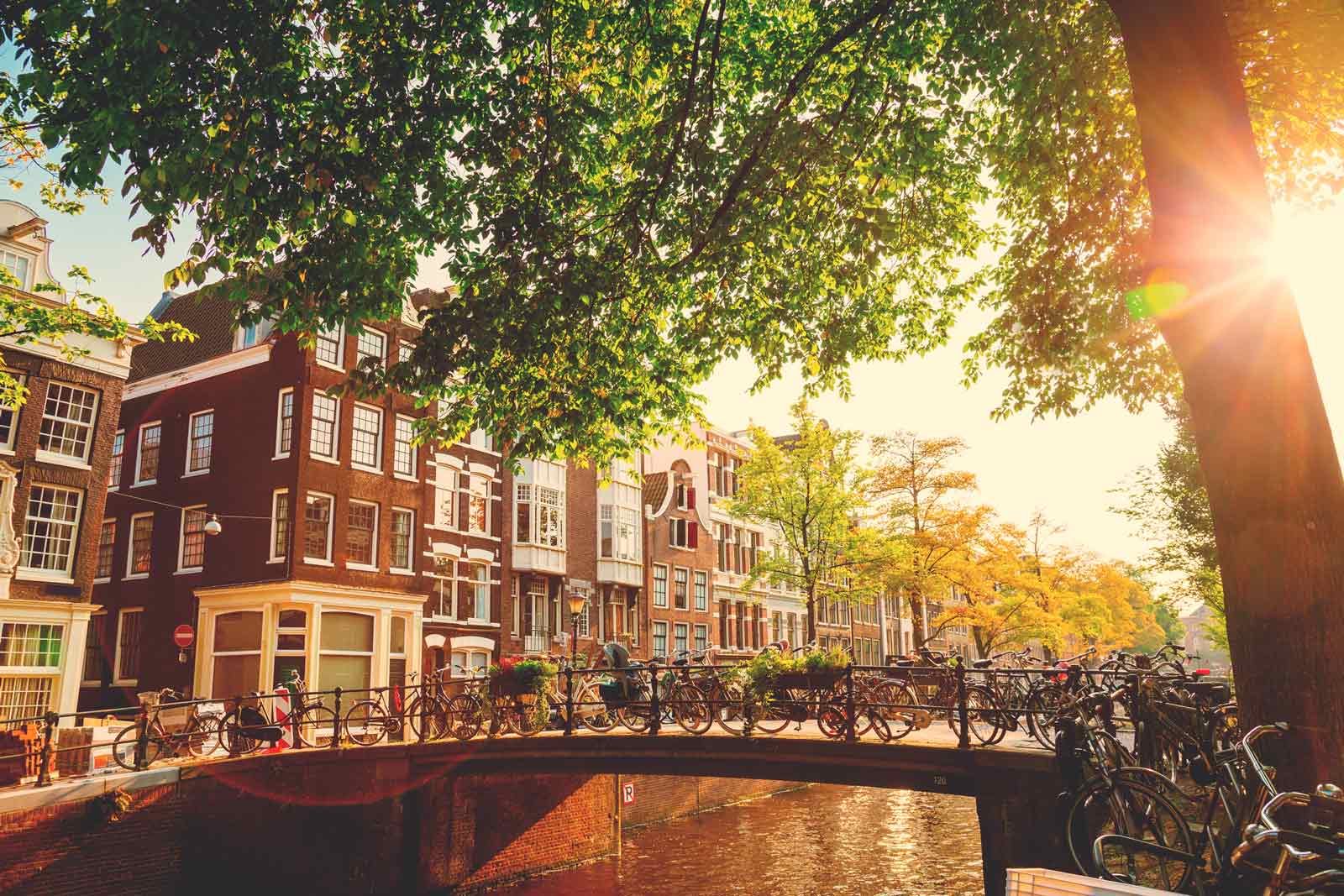 Reasons-to-visit-Amsterdam