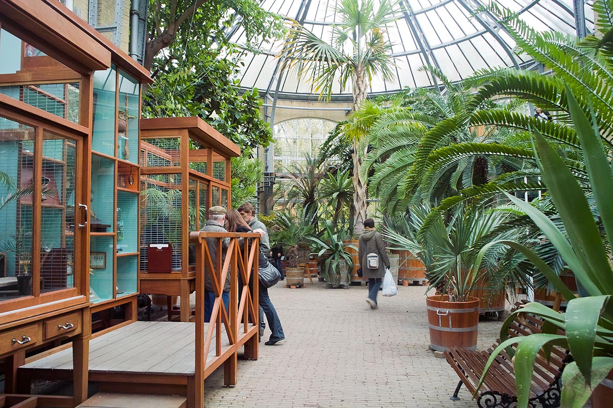 The Botanical Gardens