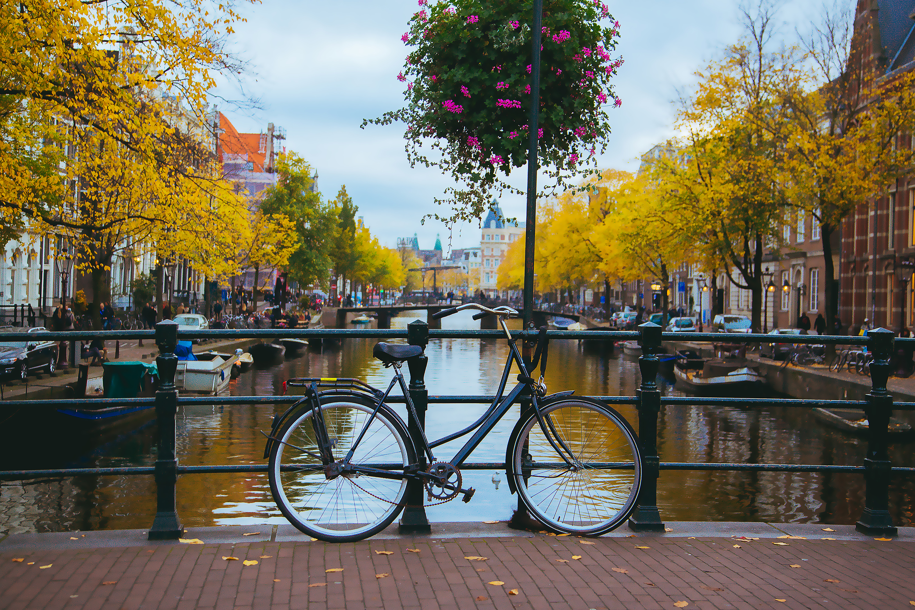 Bikes by Amsterdam canal