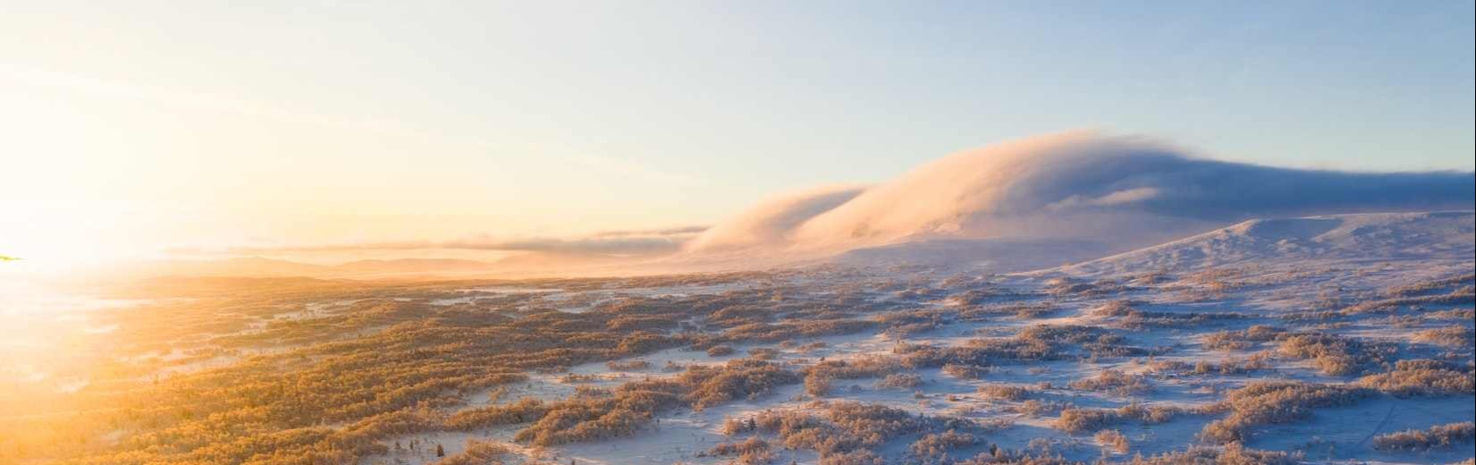 Vinterlandskap med solnedgång
