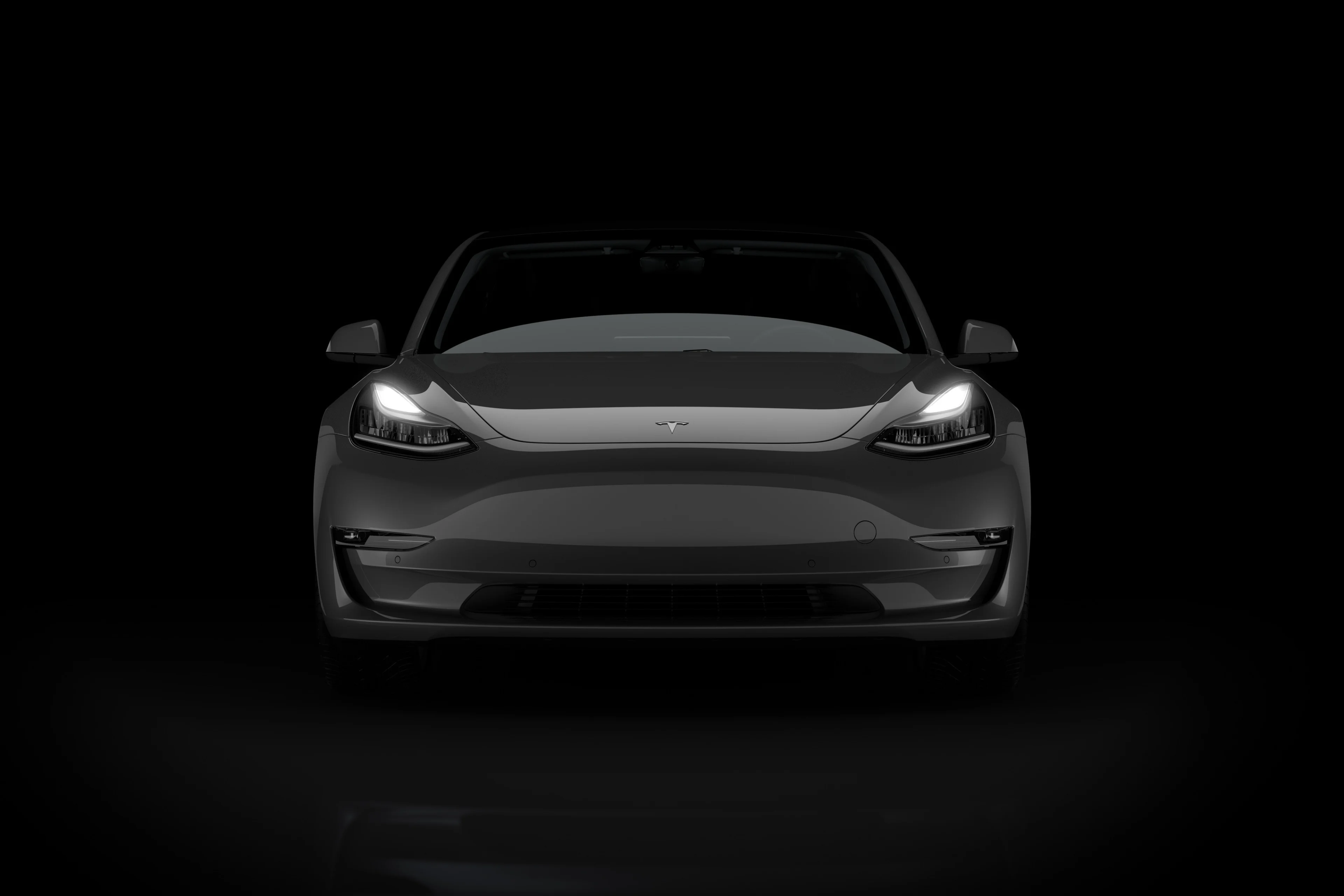 Tesla Model 3 2021 front