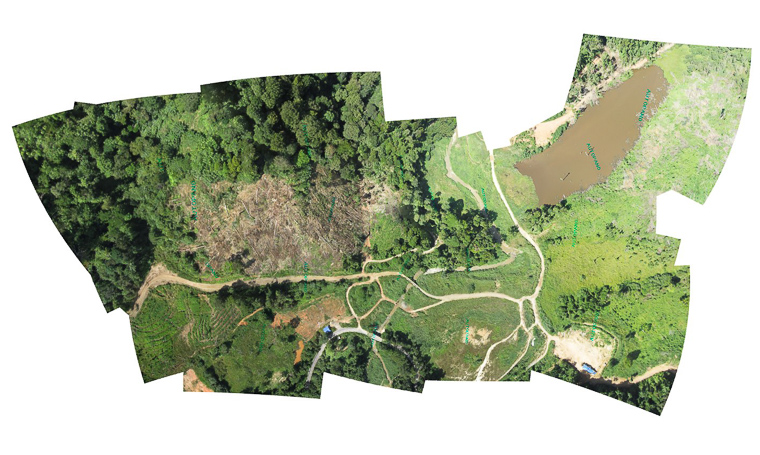 Drone forest mapping