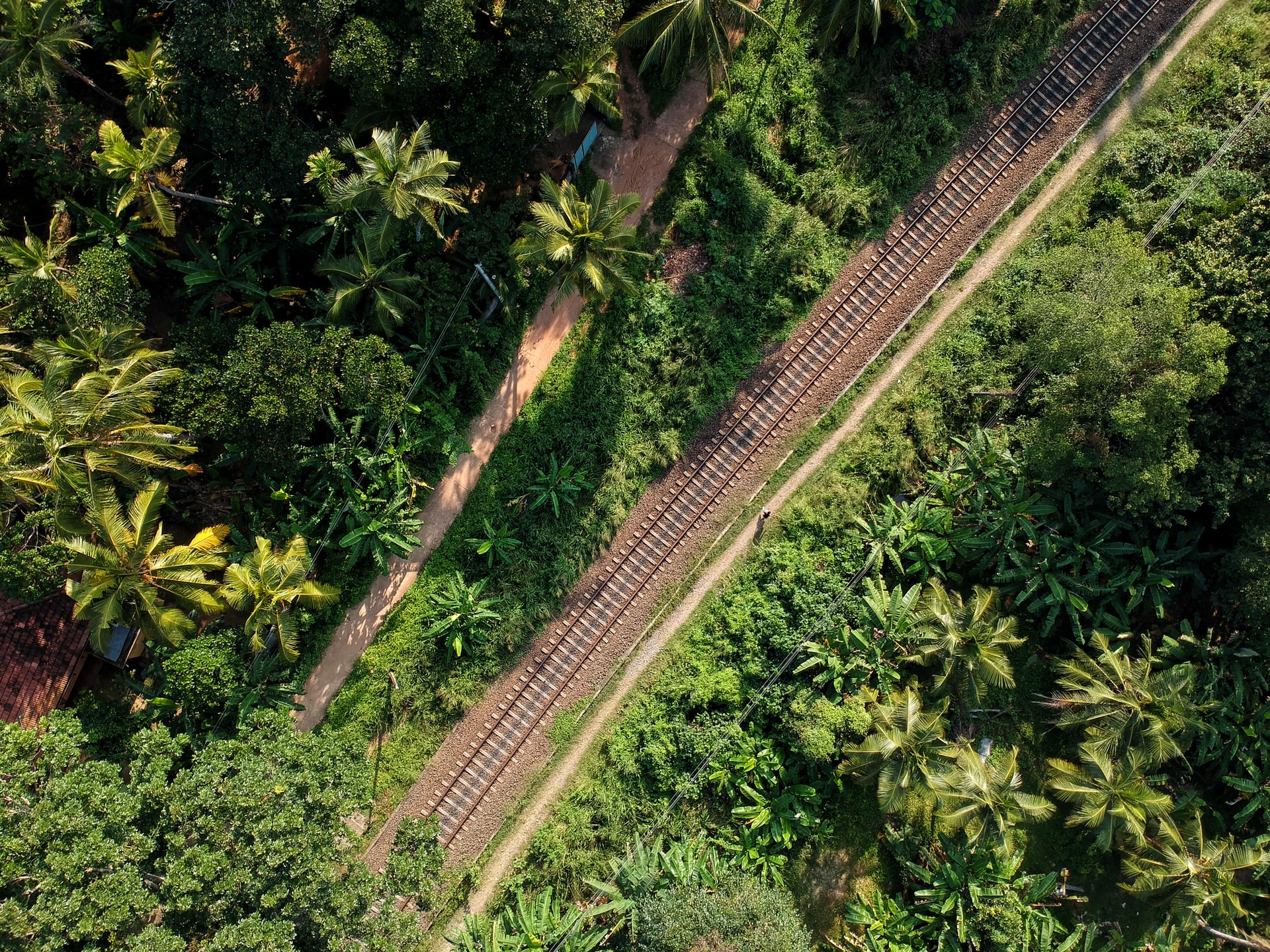 Vegetation Railways