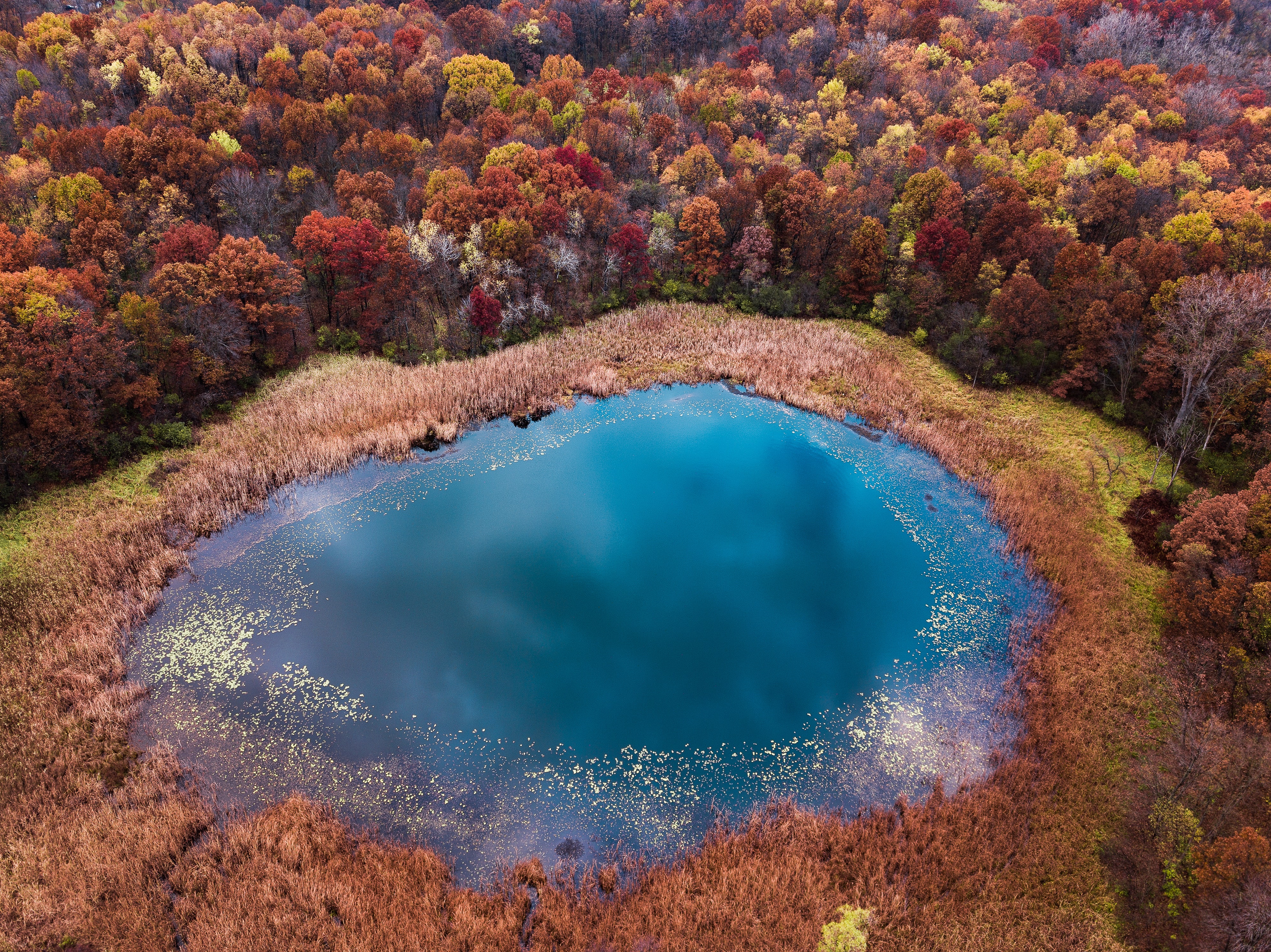 Lake Aerial