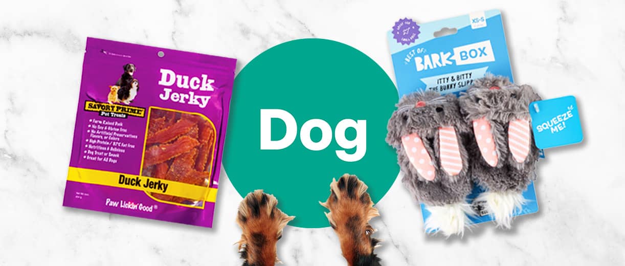 Dog supplies, Duck Jerky and Bark Box squeeze toy