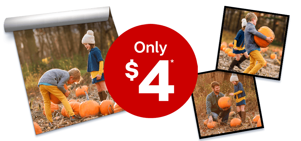 Only $4, 11 by 14 repositionable photo posters and wall panels, showing a family picking out pumpkins.