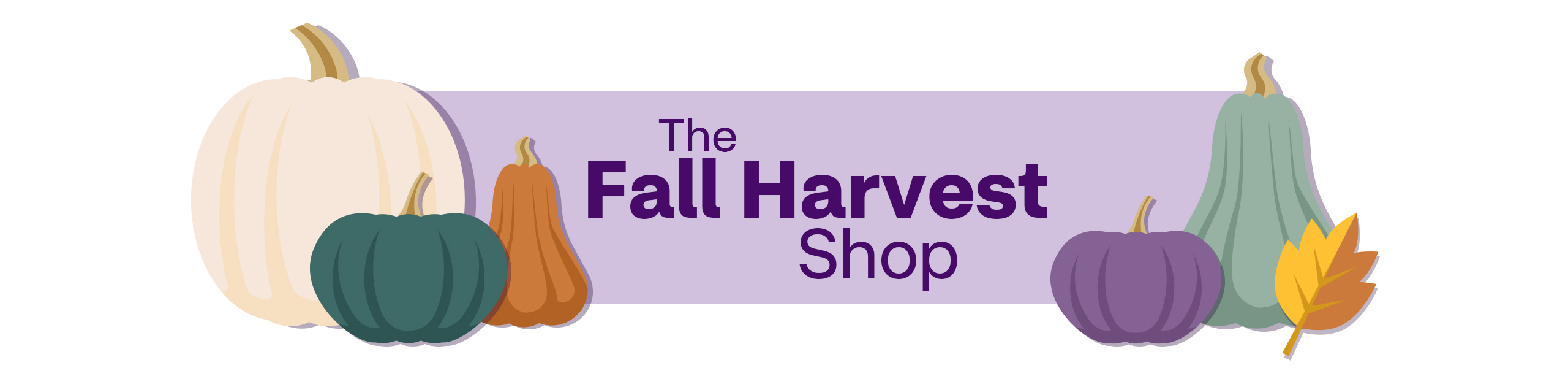 The Fall Harvest Shop, illustrations of pumpkins and squash.