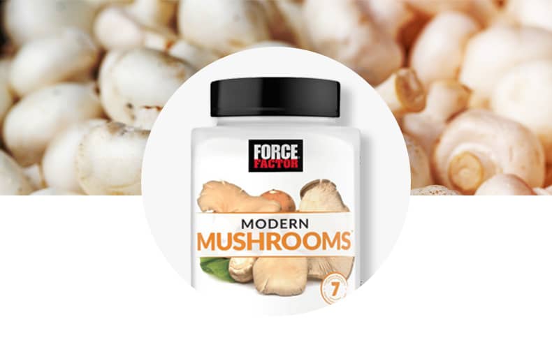 Mushrooms, Force Factor Modern Mushrooms
