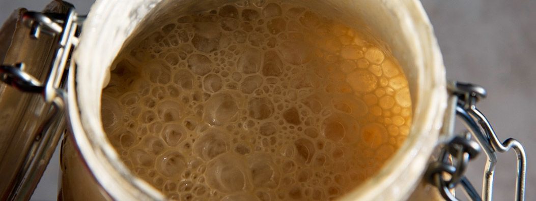 fermento-natural-levain-receita