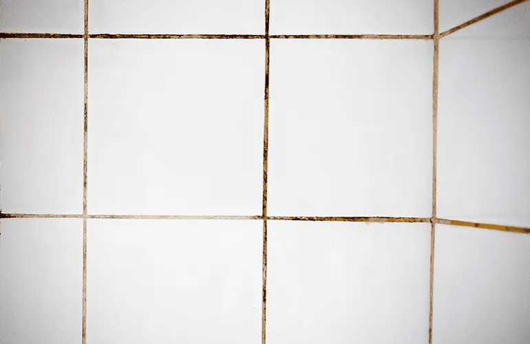 Como limpar o box do banheiro e tirar manchas de gordura e mofo