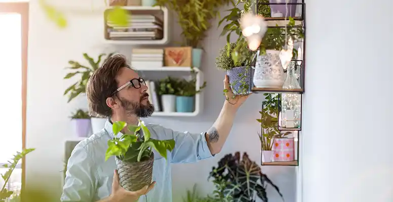 Como refrescar o quarto no calor? Confira nossas dicas!