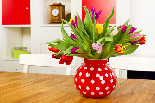 Dicas para cuidar das flores em casa