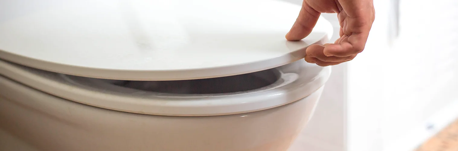 Como desentupir vaso com soluções caseiras