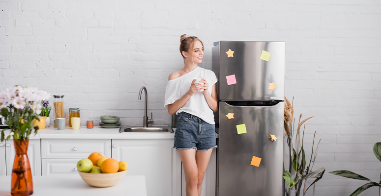 Geladeira ou Frigobar: Qual é a melhor opção para você?