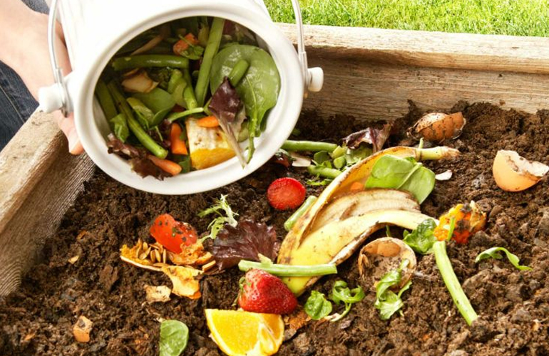 Composteira com produtos orgânicos dentro