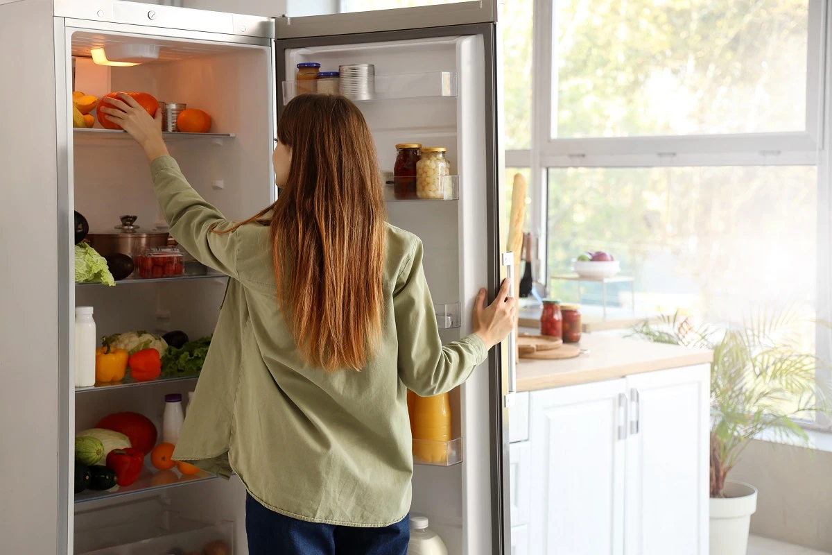 guia de compras geladeira
