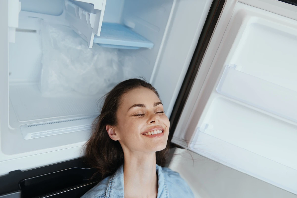 geladeira frost free