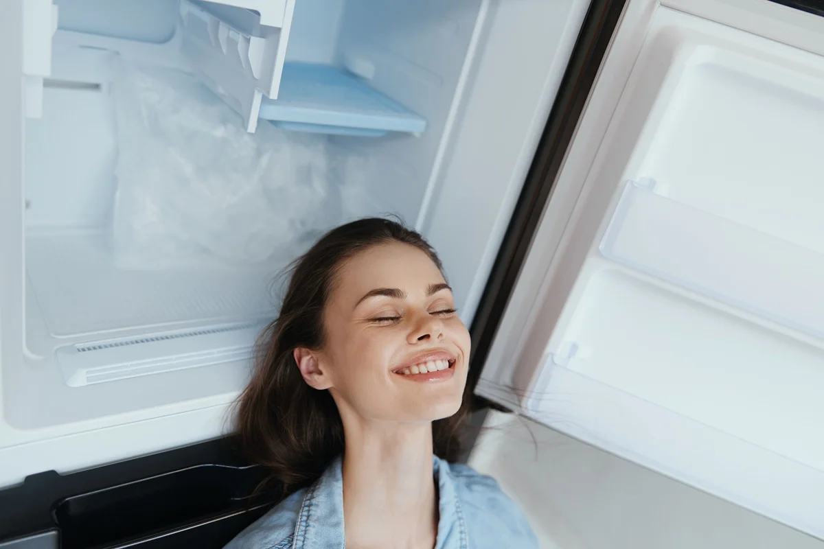 geladeira frost free