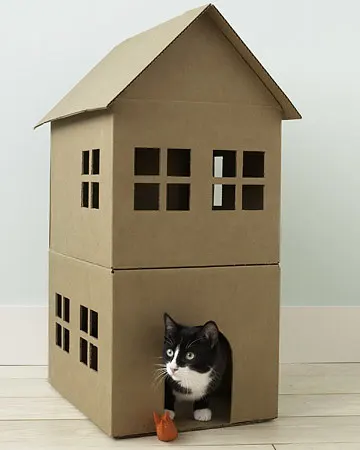 Faça um playground para gatos com caixas de papelão