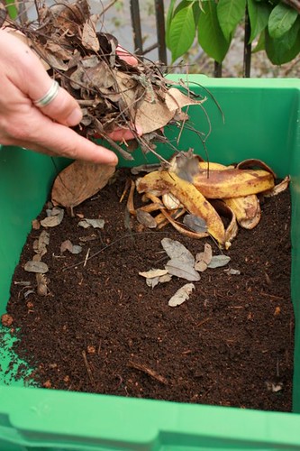 Transforme o lixo da cozinha em adubo para plantas